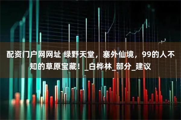 配资门户网网址 绿野天堂，塞外仙境，99的人不知的草原宝藏！_白桦林_部分_建议